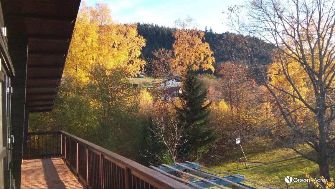 Chalet Les Chardons 热拉梅 外观 照片